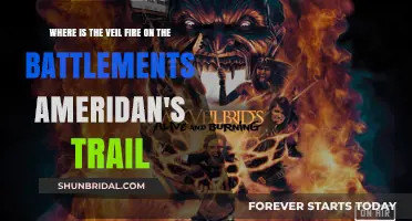 Veil Fire on the Battlements: Tracing Ameridan's Trail