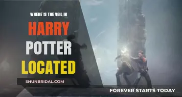 Unveiling the Mystery: Where is the Veil in Harry Potter?