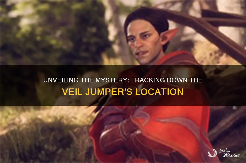 where is the veil jumper