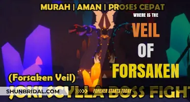 Unveiling the Mystery: Locating the Veil of the Forsaken