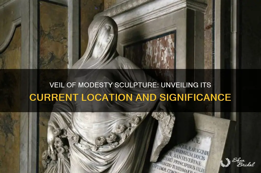 where is the veil of modesty sculpture
