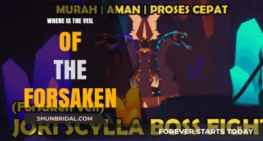 Unveiling the Forsaken's Veil: A Journey to Its Hidden Location