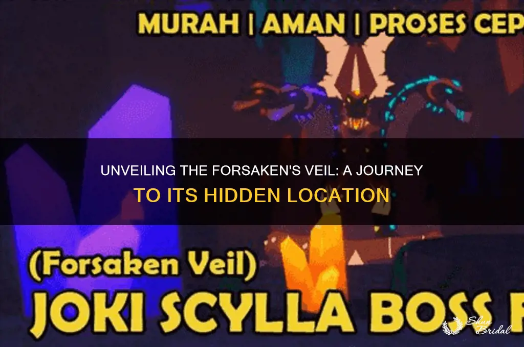where is the veil of the forsaken