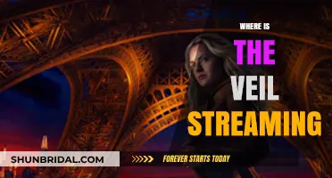 Where to Stream 'The Veil': Platforms and Availability Guide
