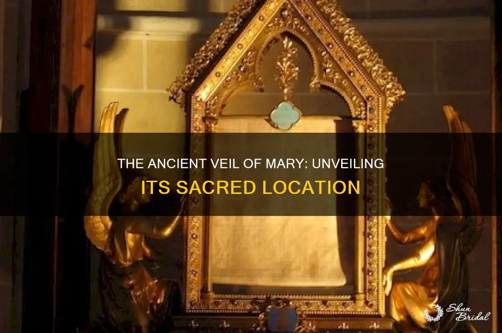 where is the veil worn by mary at jesus birth