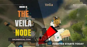 Discovering the Veila Node: Location, Access, and Key Insights