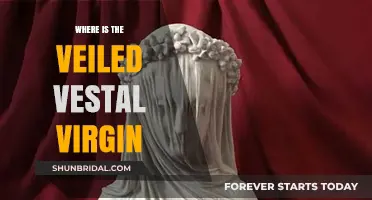 Unveiling the Mystery: Where is the Veiled Vestal Virgin?