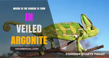 Where to Turn In Veiled Argonite: Vendor Location Guide