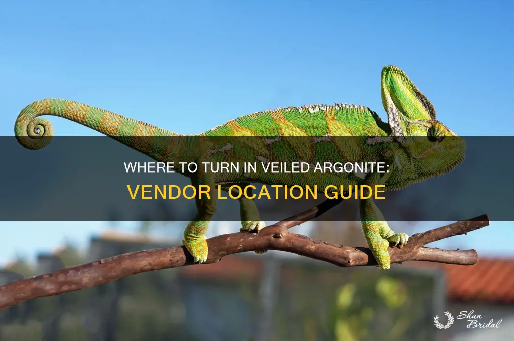 where is the vendor to turn in veiled argonite