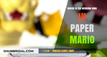 Finding the Lost Wedding Ring in Paper Mario