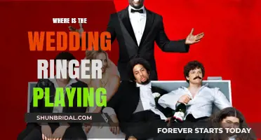 The Wedding Ringer: Where to Watch the Comedy