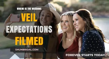 Where Was Wedding Veil Expectations Filmed? Locations Revealed