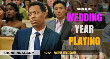 Where to Watch The Wedding Year: Streaming & Cinema Guide