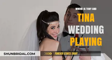Tony and Tina's Wedding: Current Locations and Showtimes Revealed