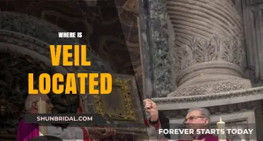 Unveiling the Mystery: Discovering Veil's Exact Location and Origins