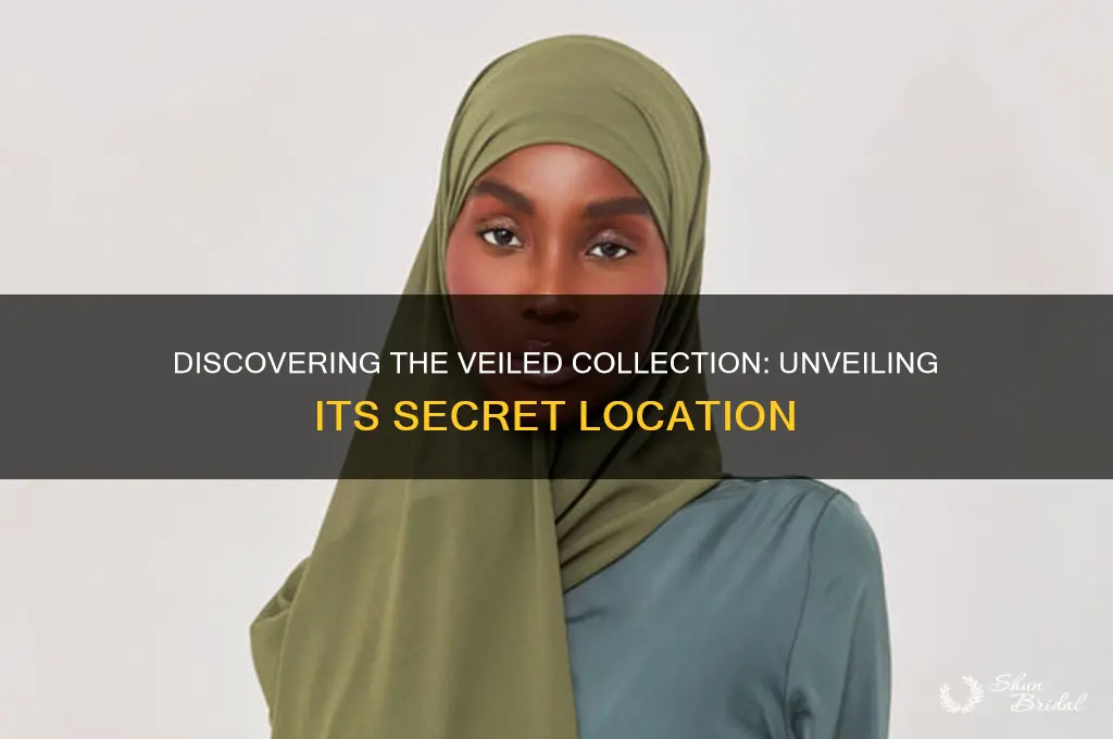 where is veiled collection located