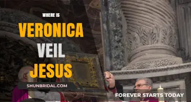 Veronica Veil Jesus: Unraveling the Mystery of Her Whereabouts