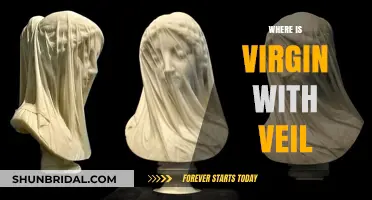 Discovering the Virgin with Veil: Location and Historical Significance