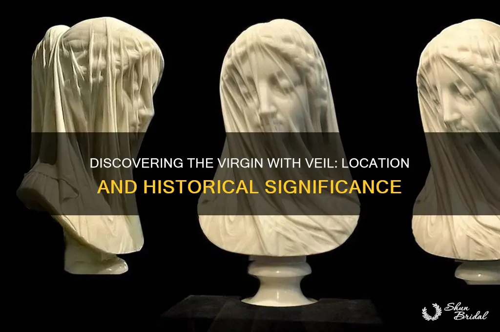 where is virgin with veil