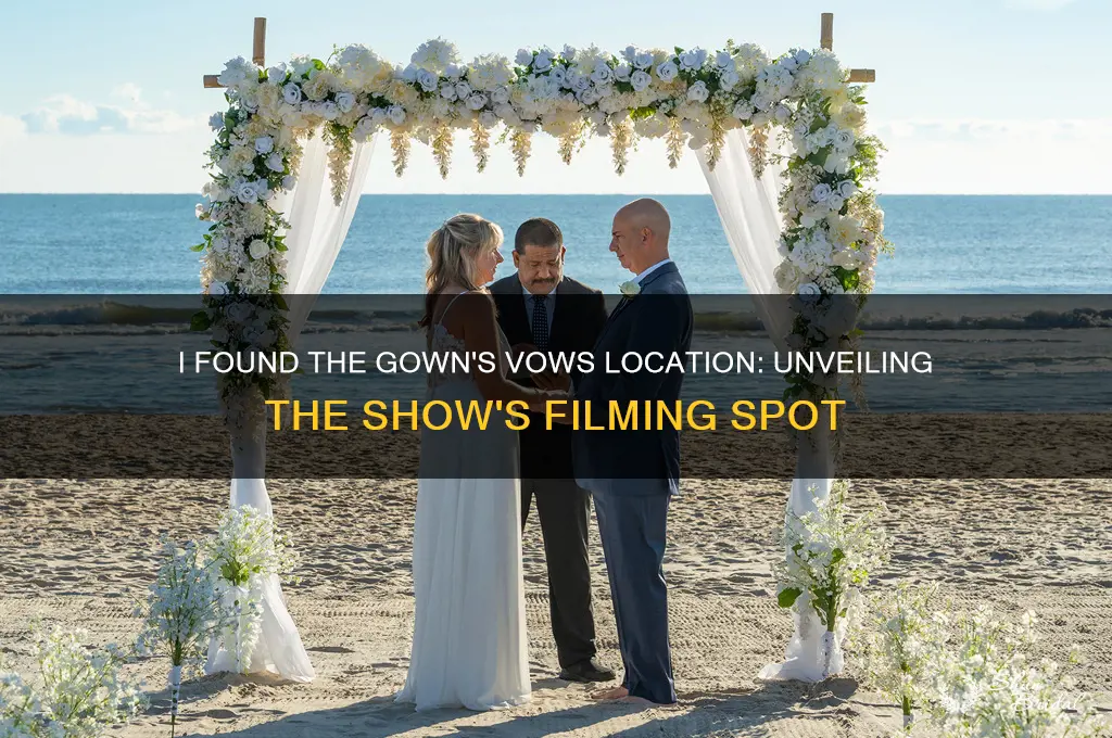 where is vows from i found the gown