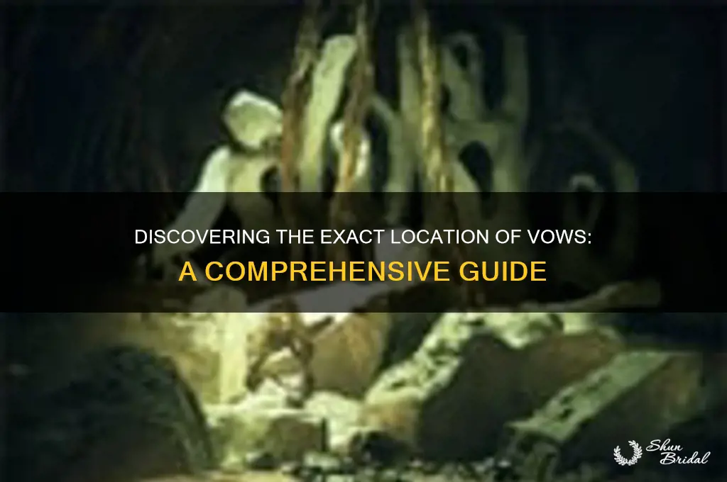 where is vows located