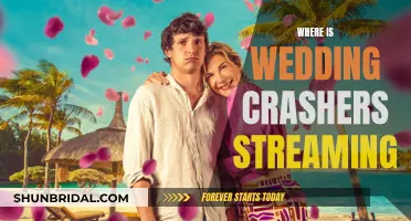 Streaming Wedding Crashers: Where to Watch the Rom-Com