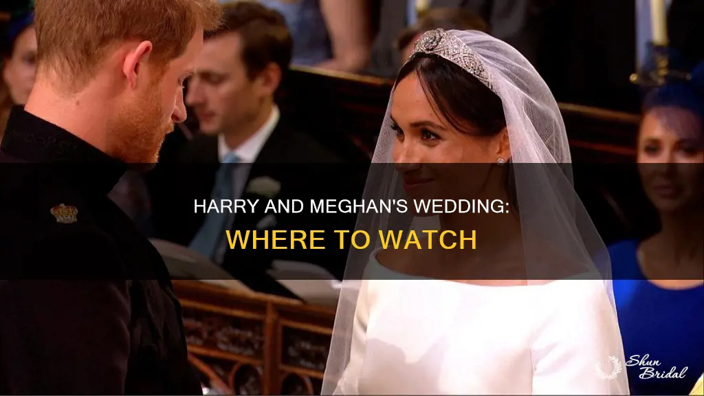 where is wedding of harry meghan being shown