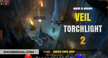 Widow's Veil Location Guide: Finding the Torchlight 2 Quest Item