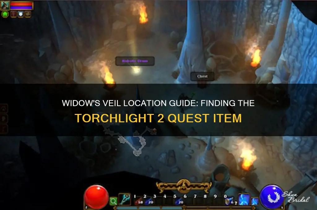 where is widows veil torchlight 2