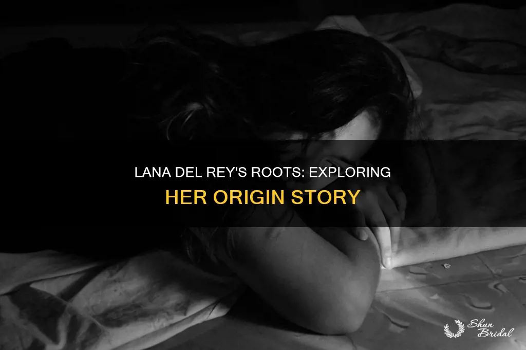where lana del rey from