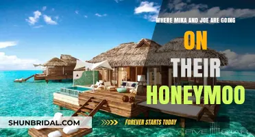 Mika and Joe's Honeymoon Destination: A Romantic Adventure Unveiled