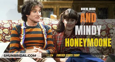 Mork & Mindy's Honeymooning: A Cosmic Getaway