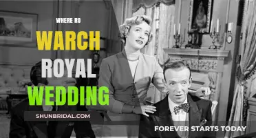 Where to Watch the Royal Wedding: A Complete Streaming Guide