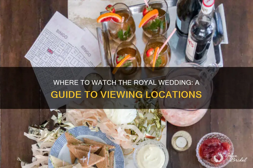 where see the royal wedding