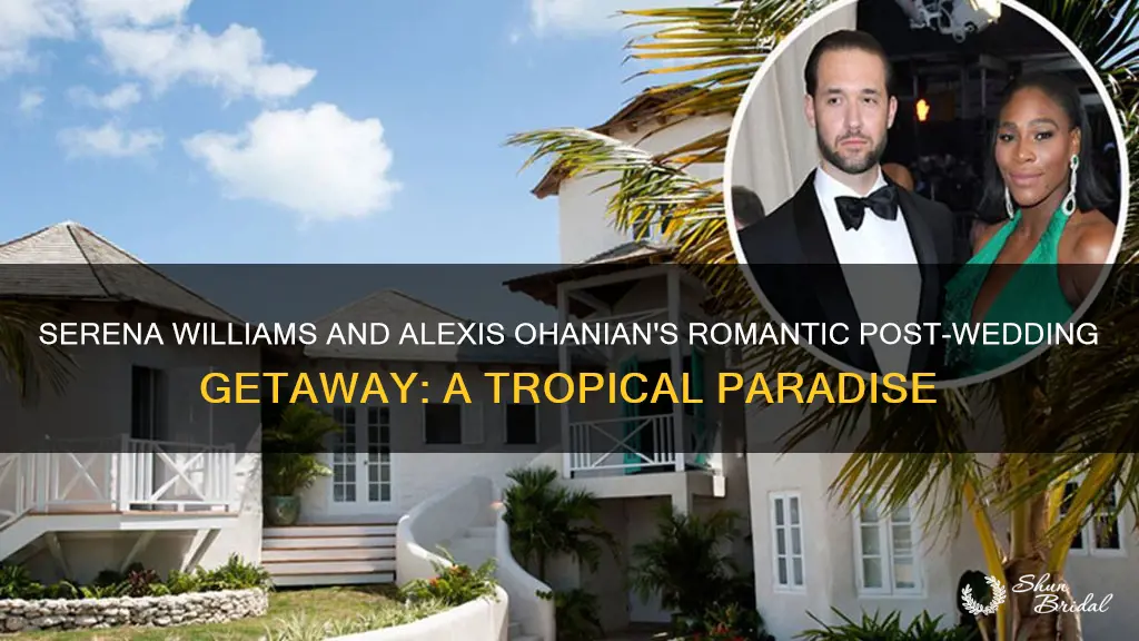 where serena and alexis ohanian honeymoon