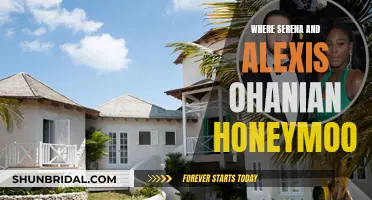 The Ohanians' Honeymoon: A Romantic Escape