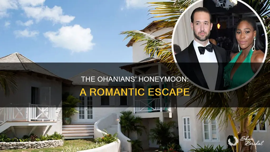 where serena and alexis ohanian honeymoon