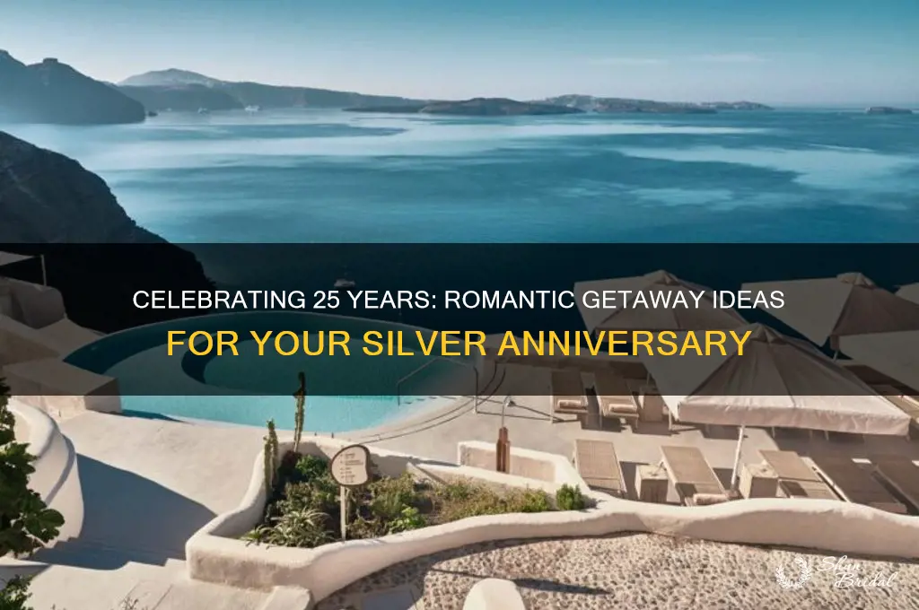 where should I go for my 25th wedding anniversary