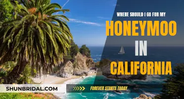 Honeymoon Getaways: California's Coastal Paradise or Mountain Retreat?