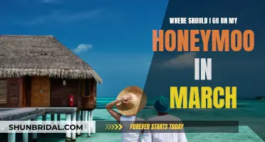 March Honeymoon: Tropical Paradise or Mountain Retreat?