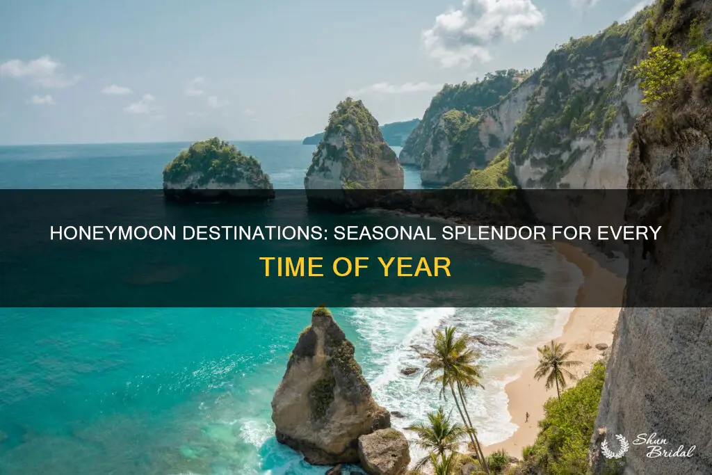 where should I honeymoon by time of year