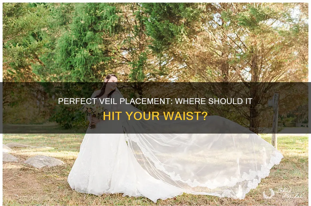 where should veil hit waist