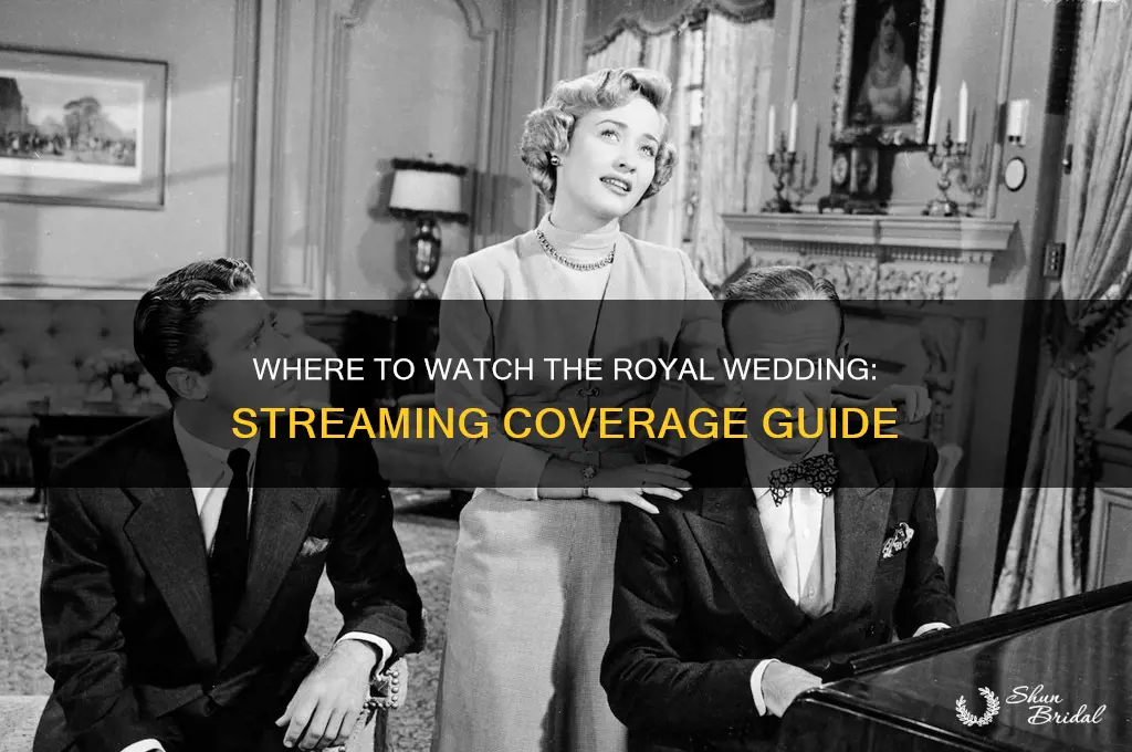where streaming coverage of royal wedding
