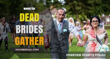 Where the Dead Brides Gather: A Haunting Tale of Love and Loss