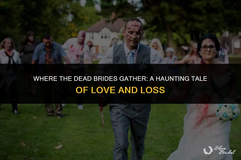 where the dead brides gather