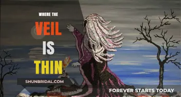 Exploring Mystical Realms: Where the Veil Between Worlds Grows Thin