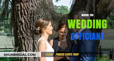 Choosing the Perfect Wedding Officiant: A Guide to Your Ceremony's Voice