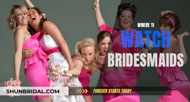 Best Platforms to Stream the Hit Comedy Bridesmaids