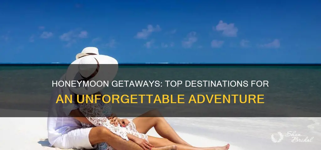 where to book a honeymoon package