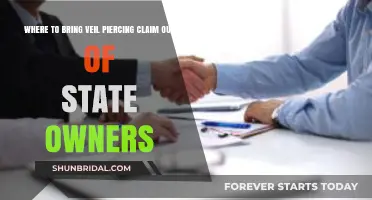 Veil Piercing Claims: Out-of-State Owner Liability & Jurisdiction Guide